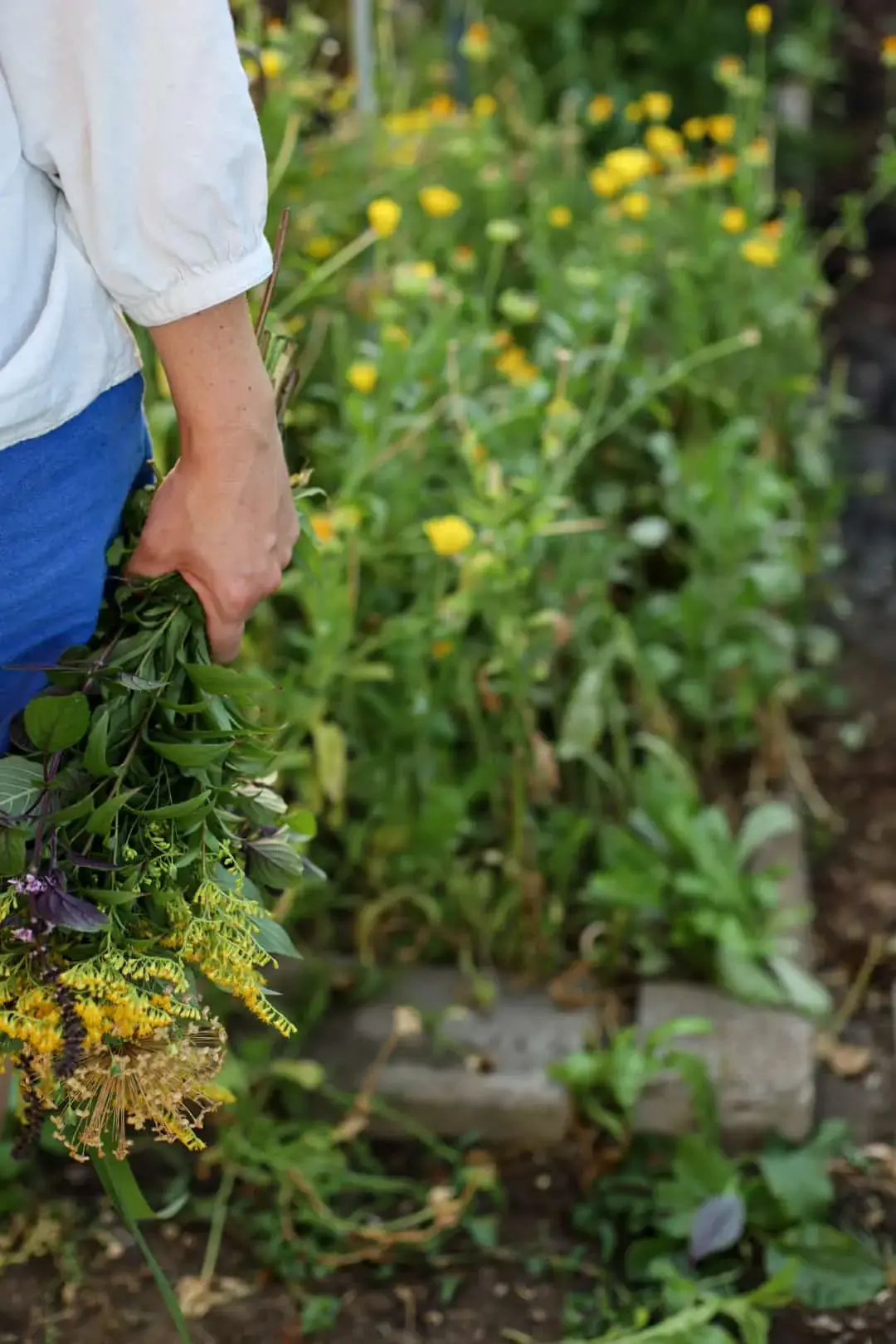 farmmade bienen