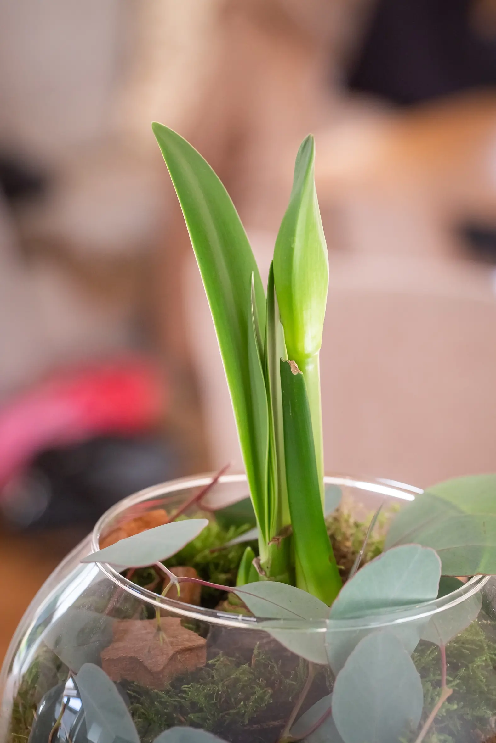 DIY bepflanztes Glas